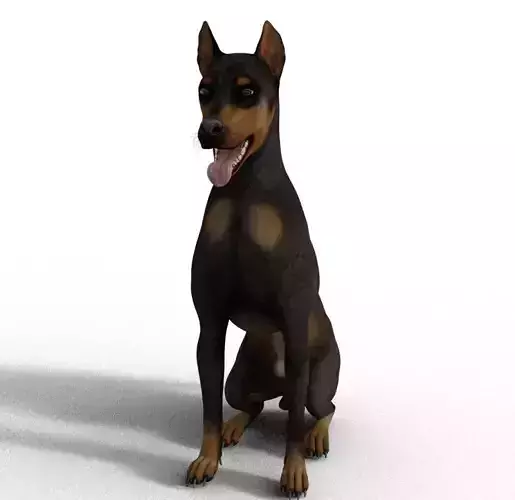 Dobermann Dog - Full Rigged 