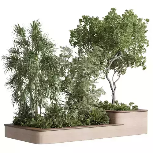 Garden plants box - Indoor plants set 253