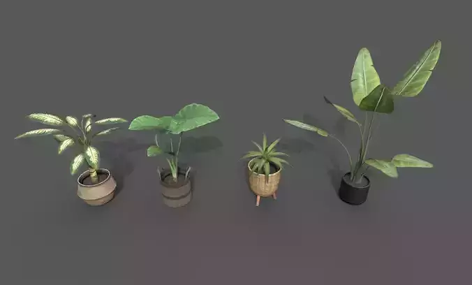 Room Plant Pack