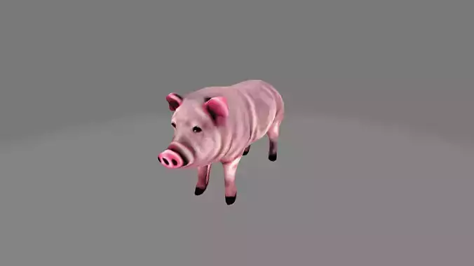 Pig Realistic Low-Poly 3D Model