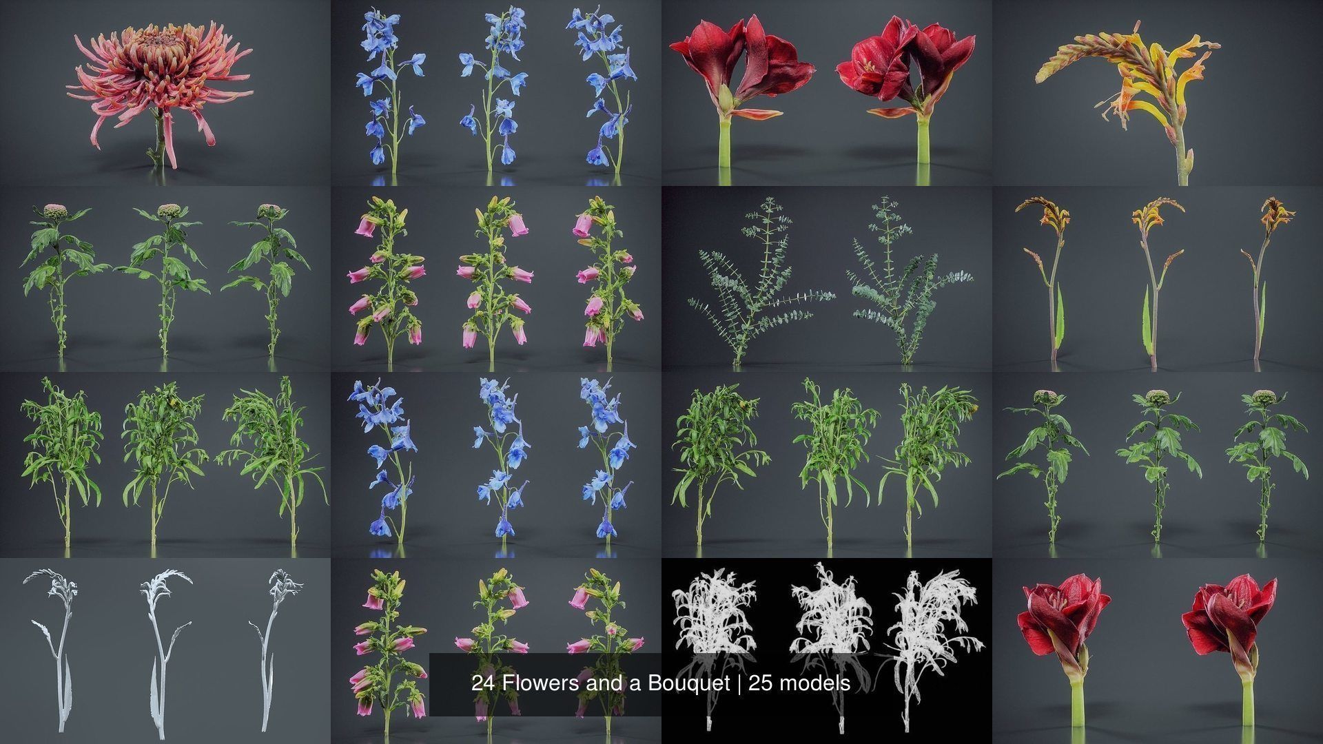 24 Flowers and a Bouquet 3D Model Collection_2