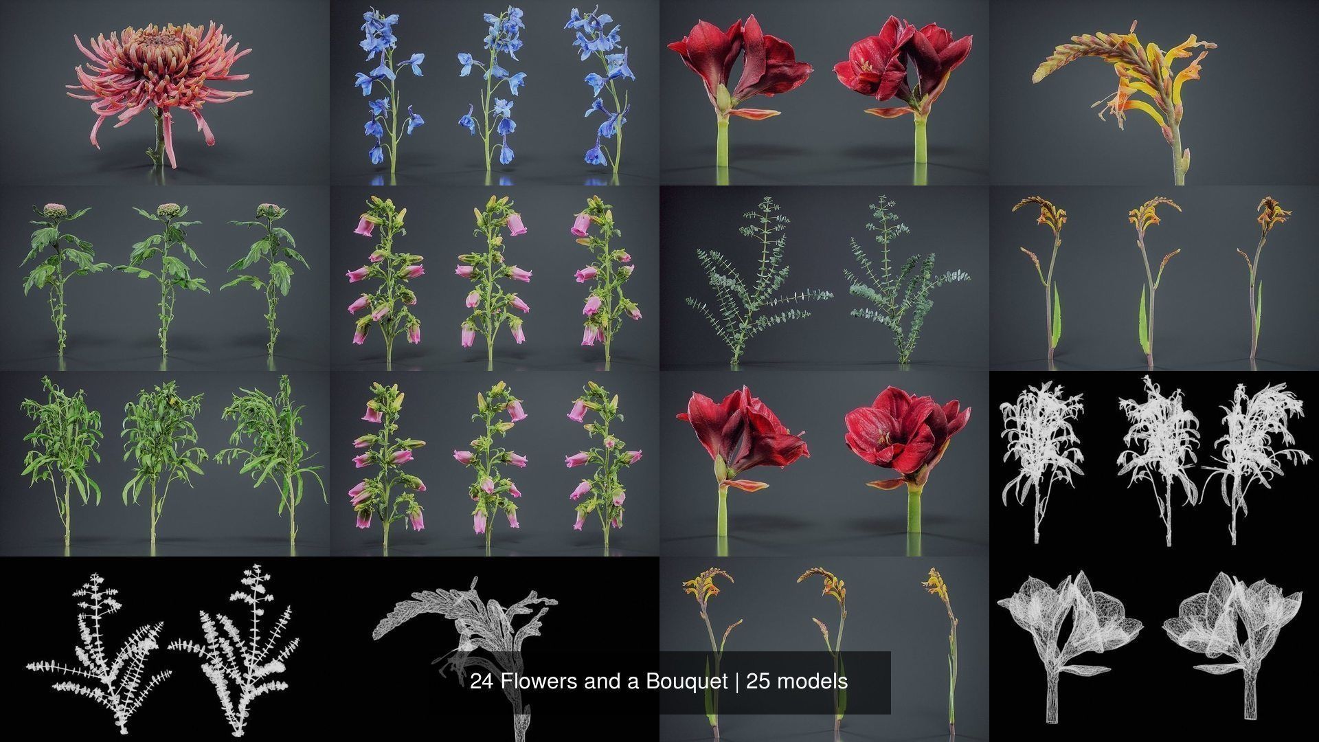 24 Flowers and a Bouquet 3D Model Collection_3