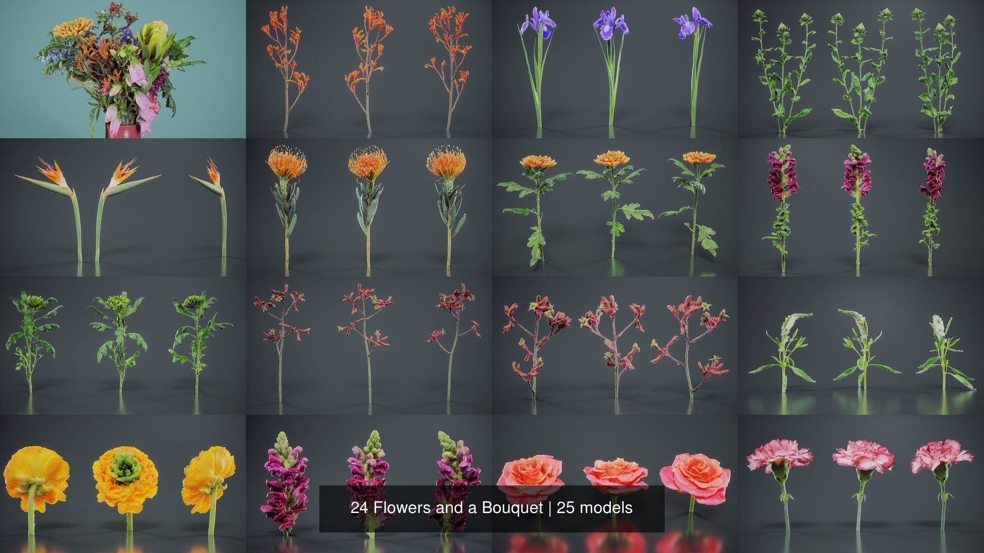 24 Flowers and a Bouquet 3D Model Collection_1