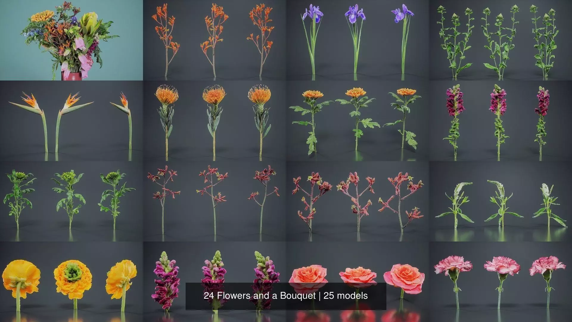 24 Flowers and a Bouquet 3D Model Collection_0