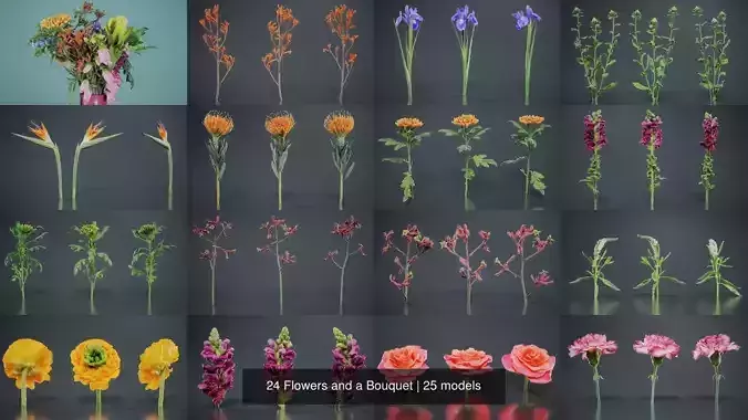 24 Flowers and a Bouquet 3D Model Collection