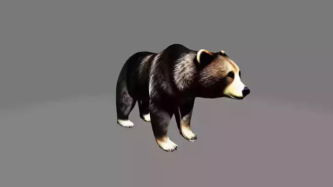 Grizzly Bear Realistic 3D Model Low Poly
