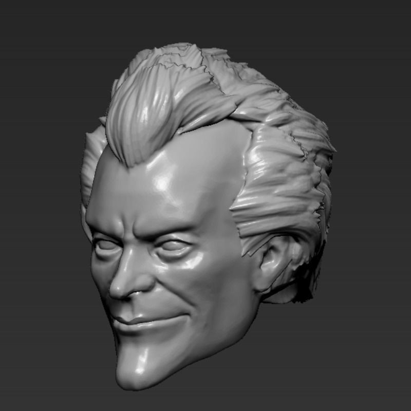 JOKER FROM ARKHAM CITY 3D HEAD FOR MCFARLANE TOYS 3D print model_1