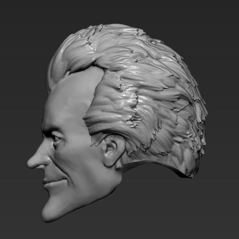 JOKER FROM ARKHAM CITY 3D HEAD FOR MCFARLANE TOYS 3D print model_2