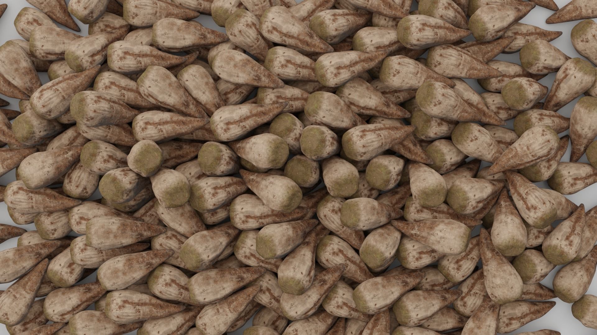Sugar Beet High Quality 4K  3D model_3