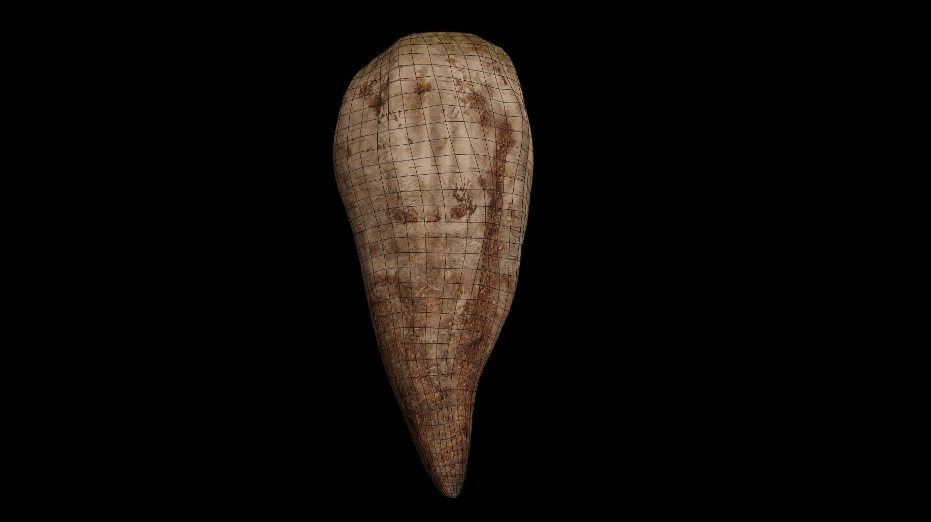 Sugar Beet High Quality 4K  3D model_8