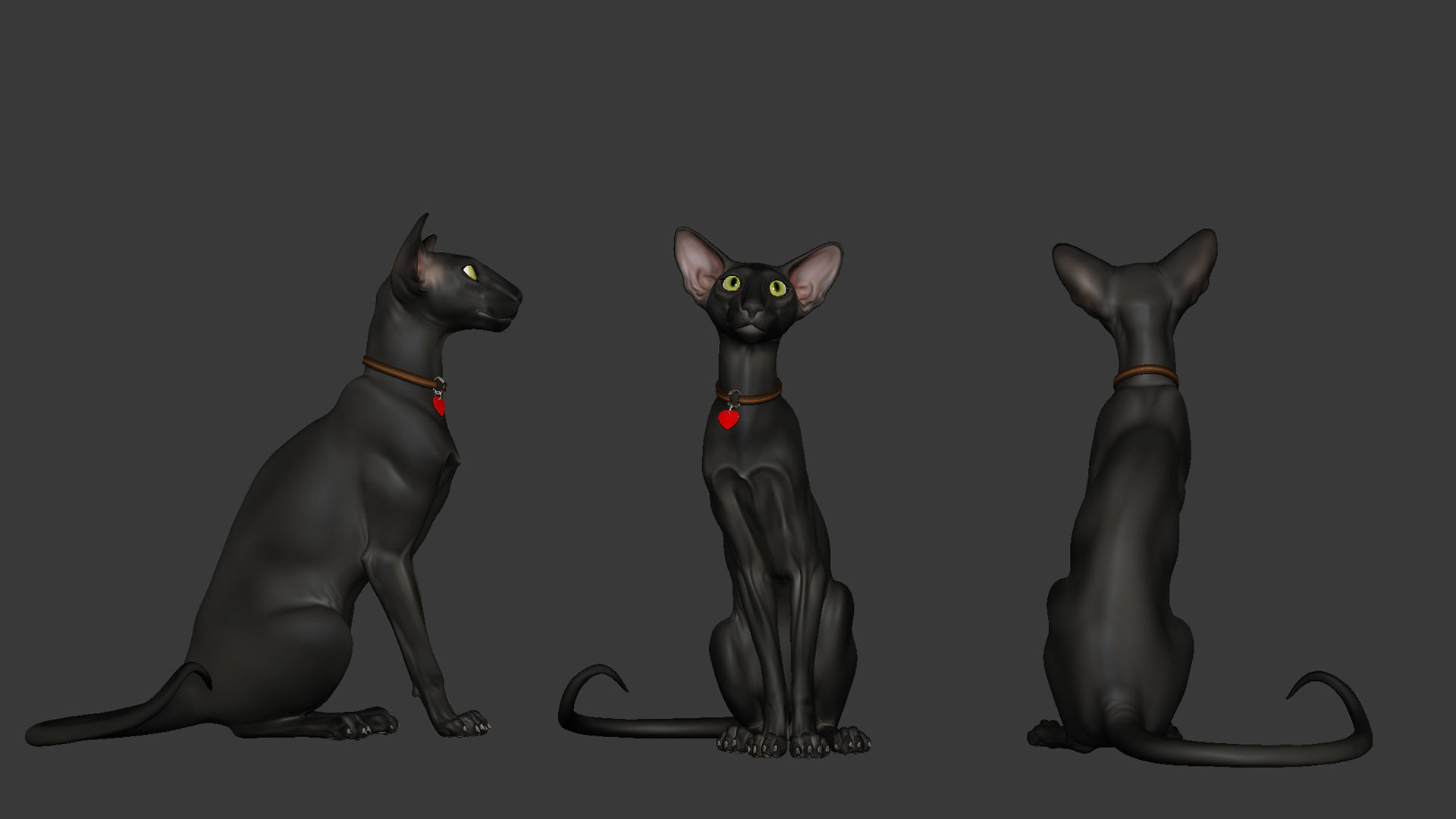 Oriental Cat - 3D Sculpting - High Poly  3D print model_6