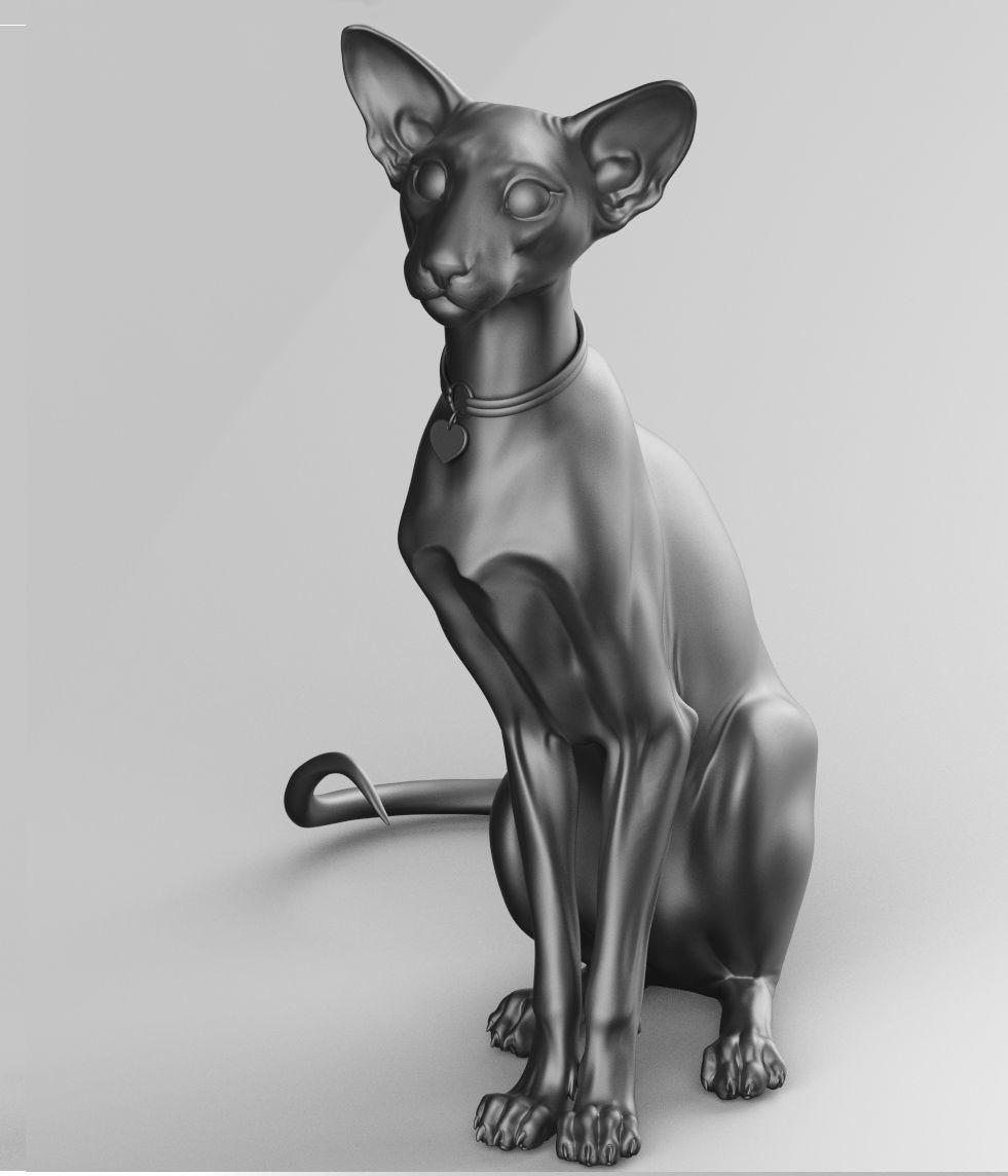 Oriental Cat - 3D Sculpting - High Poly  3D print model_12