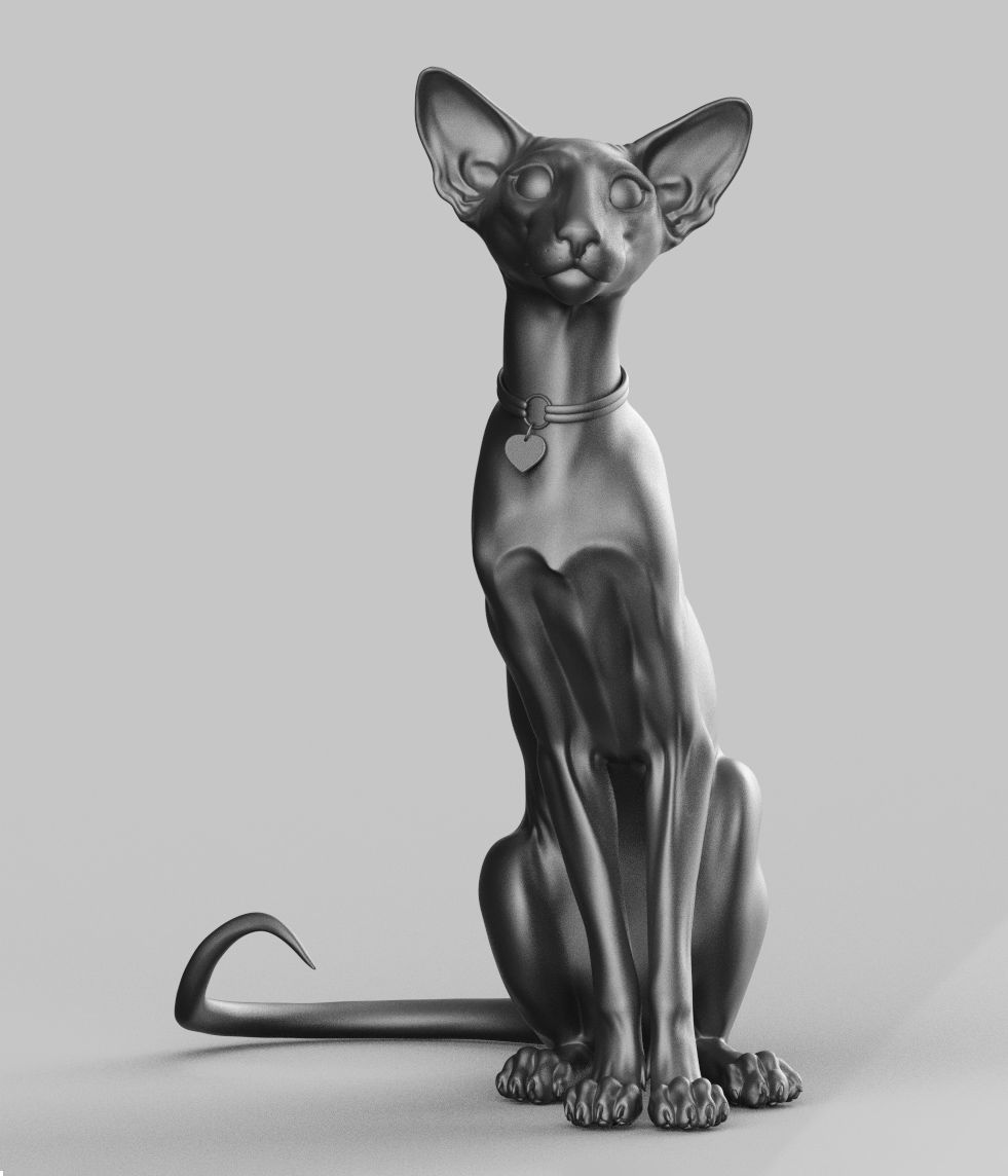Oriental Cat - 3D Sculpting - High Poly  3D print model_13