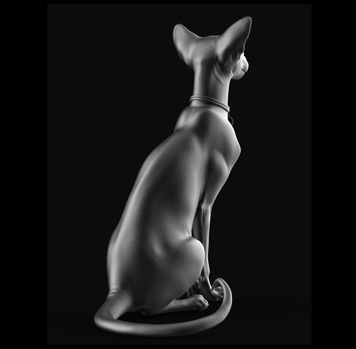 Oriental Cat - 3D Sculpting - High Poly  3D print model_9