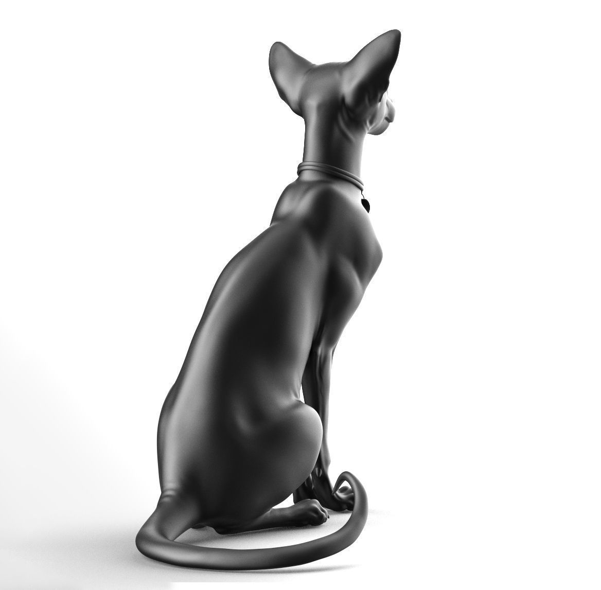 Oriental Cat - 3D Sculpting - High Poly  3D print model_15