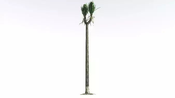 EVERYPlant Sigillaria LowPoly 4 --12 Models-- Low-poly 3D model
