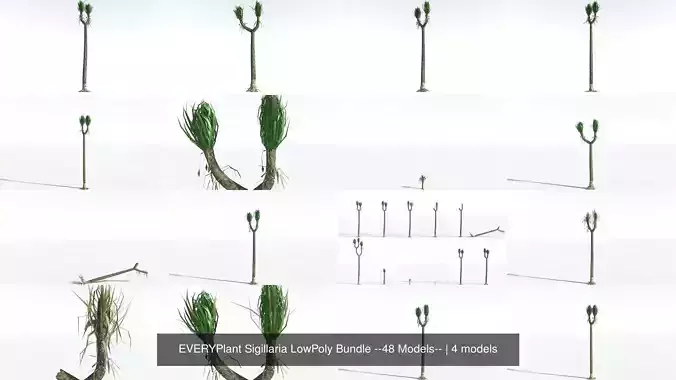 EVERYPlant Sigillaria LowPoly Bundle --48 Models-- 3D Model Collection