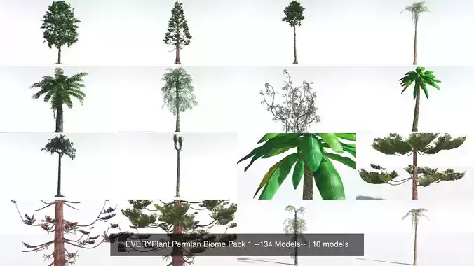 EVERYPlant Permian Biome Pack 1 --134 Models-- 3D Model Collection