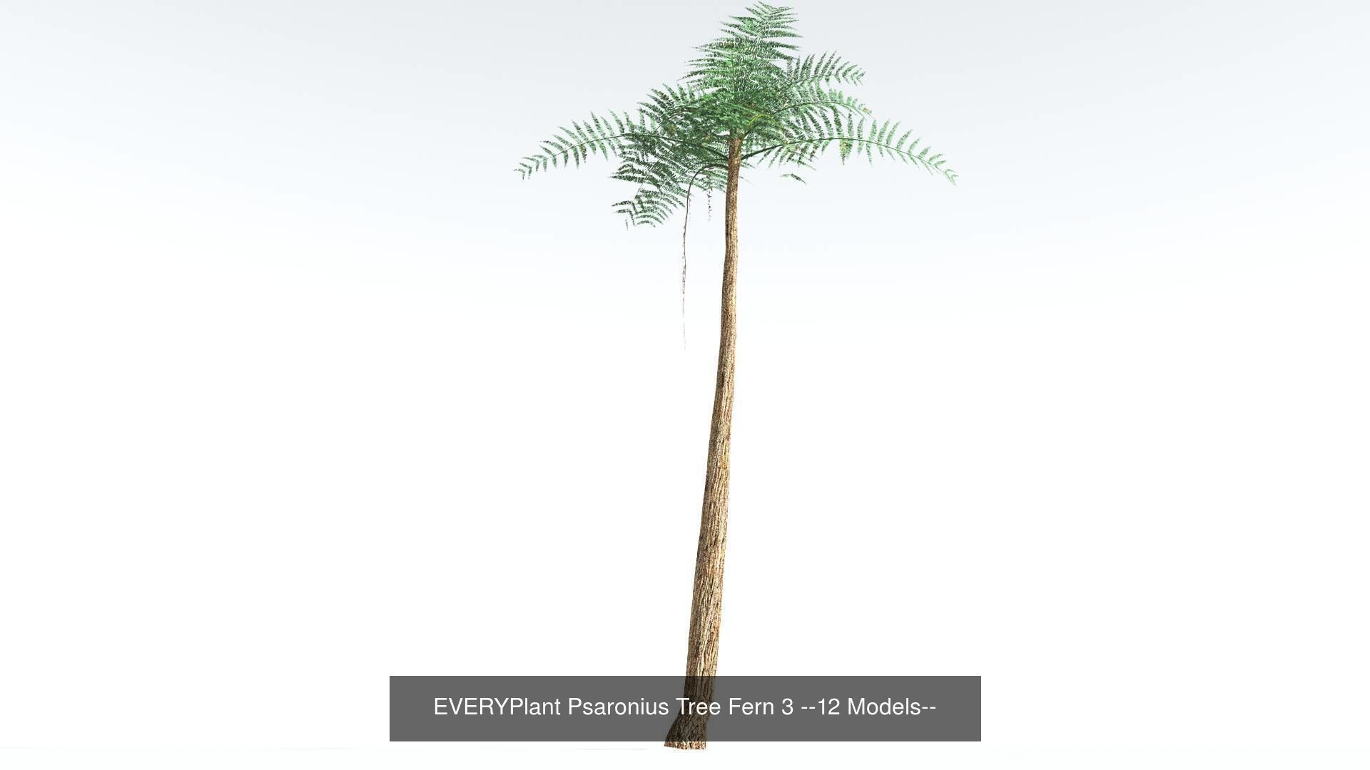 EVERYPlant Permian Biome MEGAPack --536 Models-- 3D Model Collection_19
