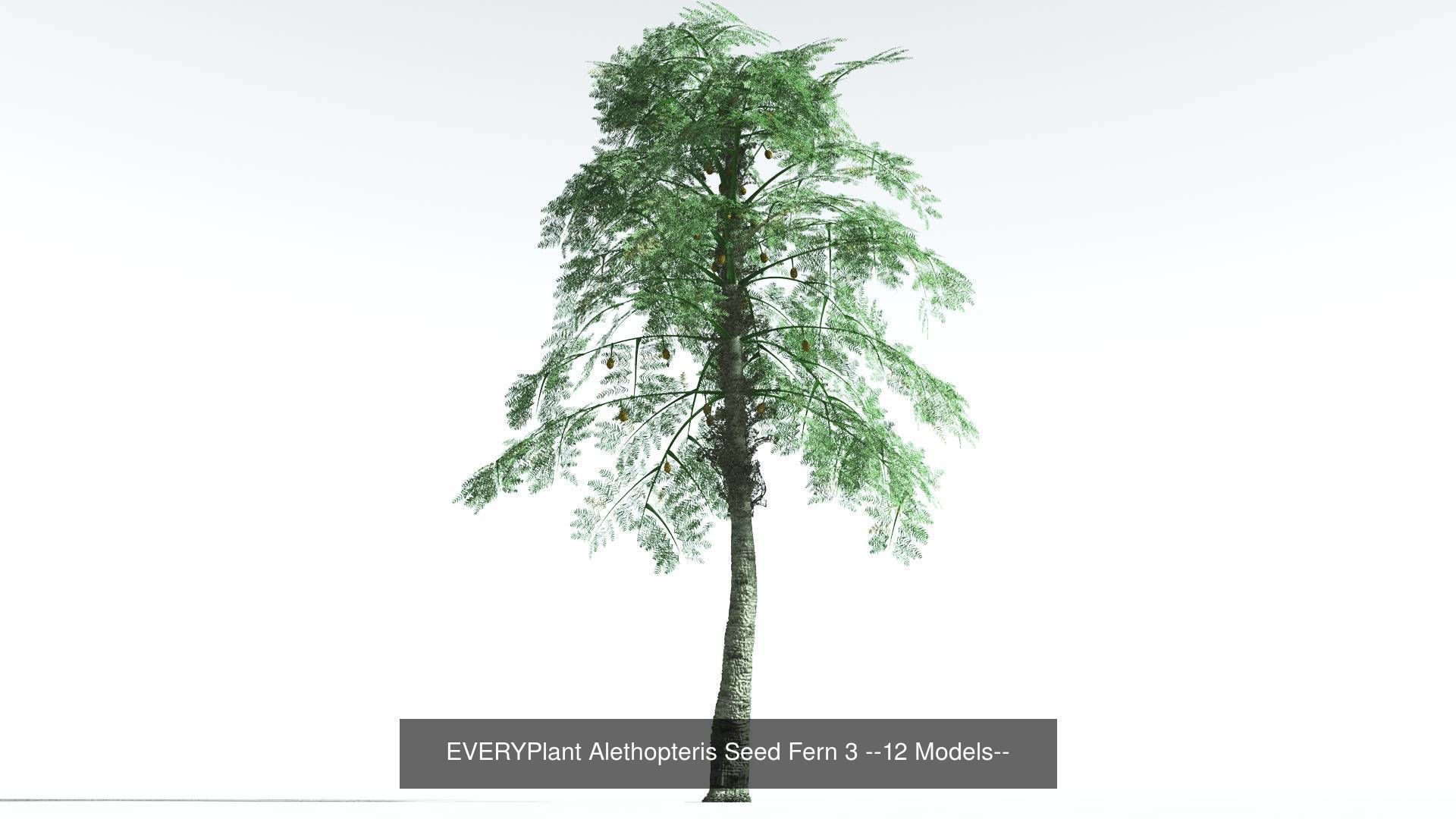 EVERYPlant Permian Biome MEGAPack --536 Models-- 3D Model Collection_27