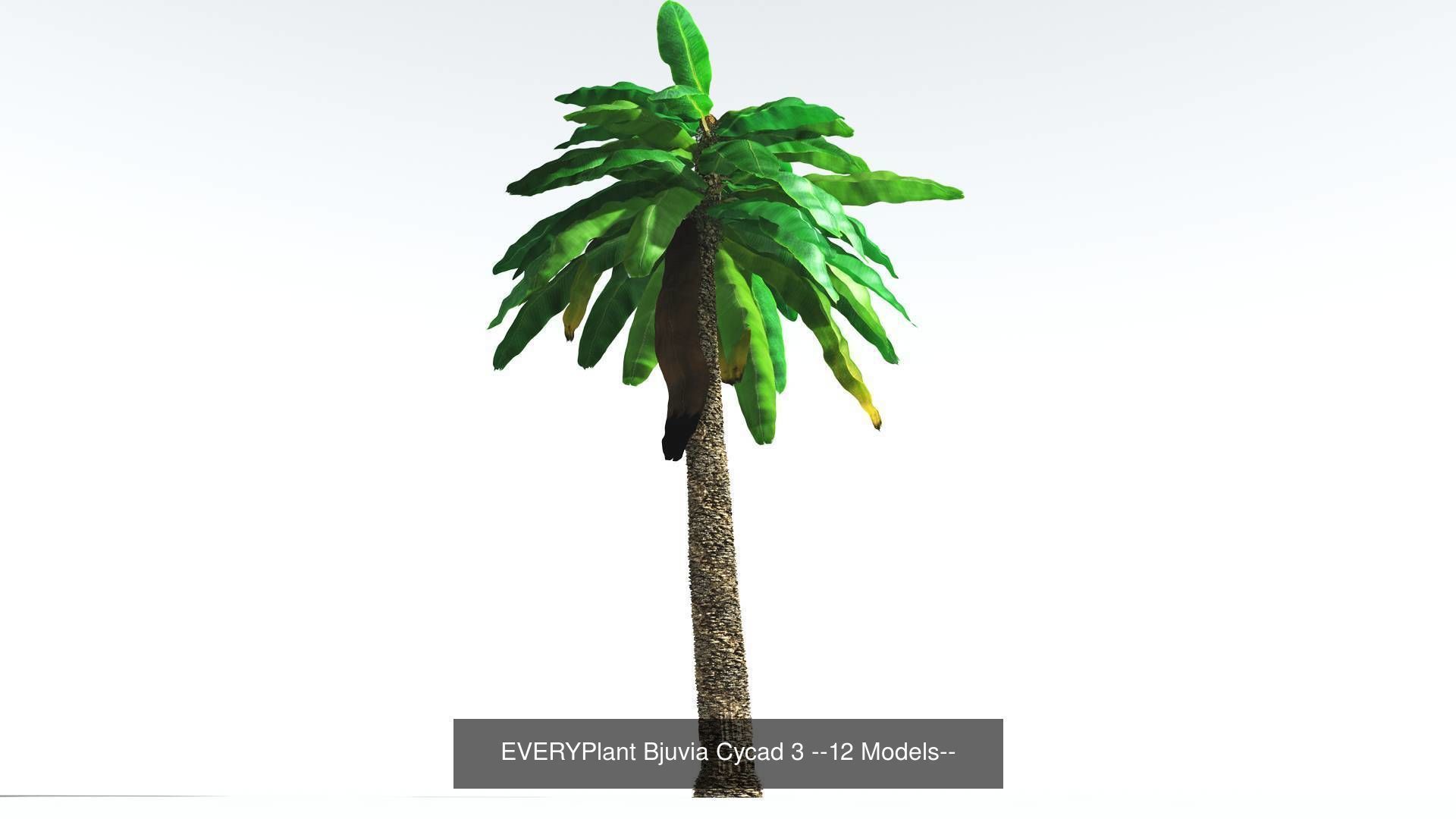 EVERYPlant Permian Biome MEGAPack --536 Models-- 3D Model Collection_35