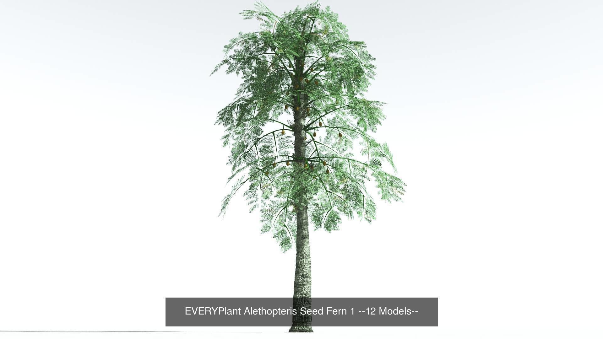 EVERYPlant Permian Biome MEGAPack --536 Models-- 3D Model Collection_25
