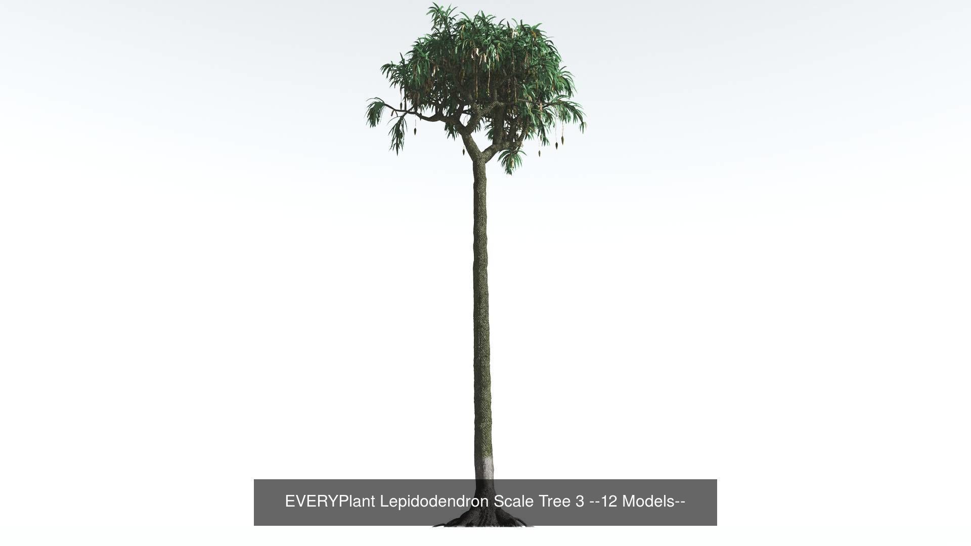 EVERYPlant Permian Biome MEGAPack --536 Models-- 3D Model Collection_39