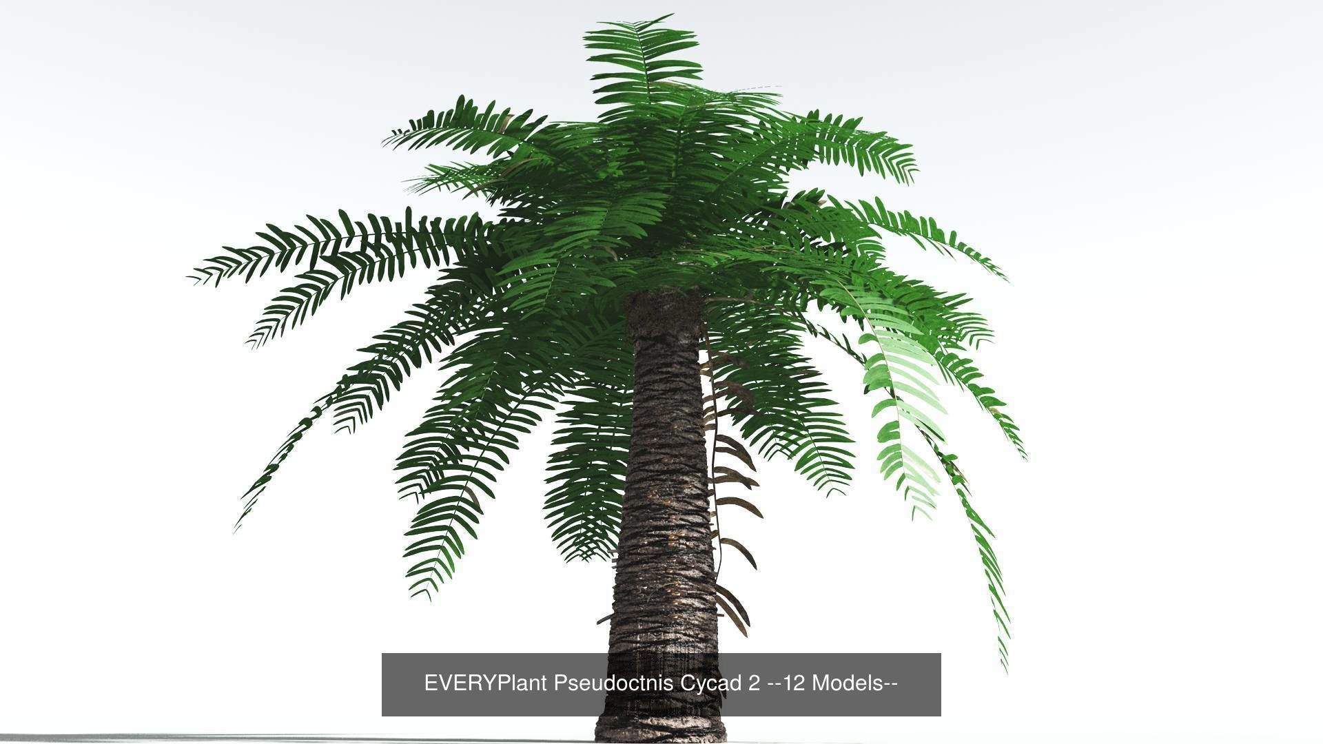 EVERYPlant Permian Biome MEGAPack --536 Models-- 3D Model Collection_22