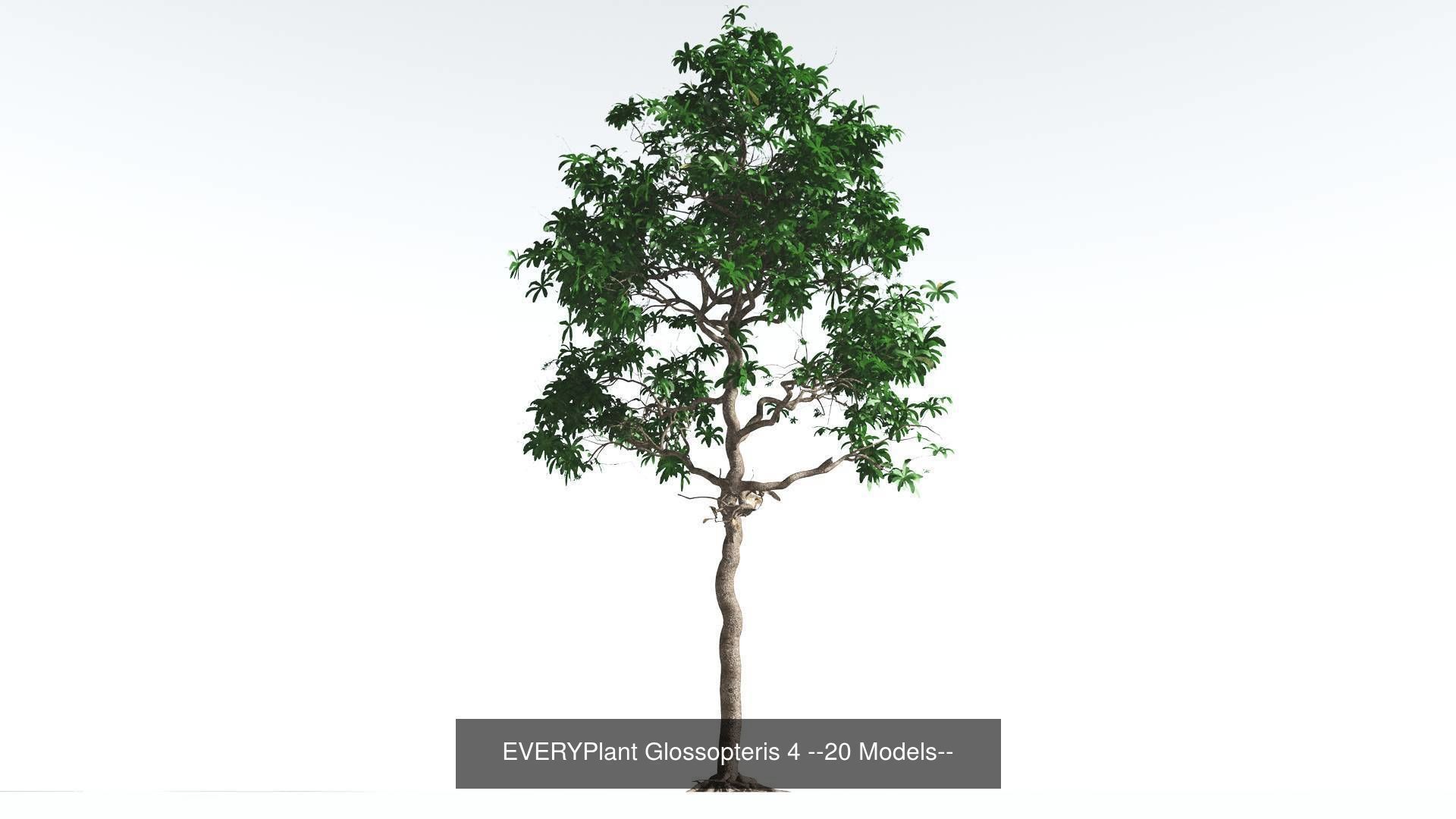 EVERYPlant Permian Biome MEGAPack --536 Models-- 3D Model Collection_8