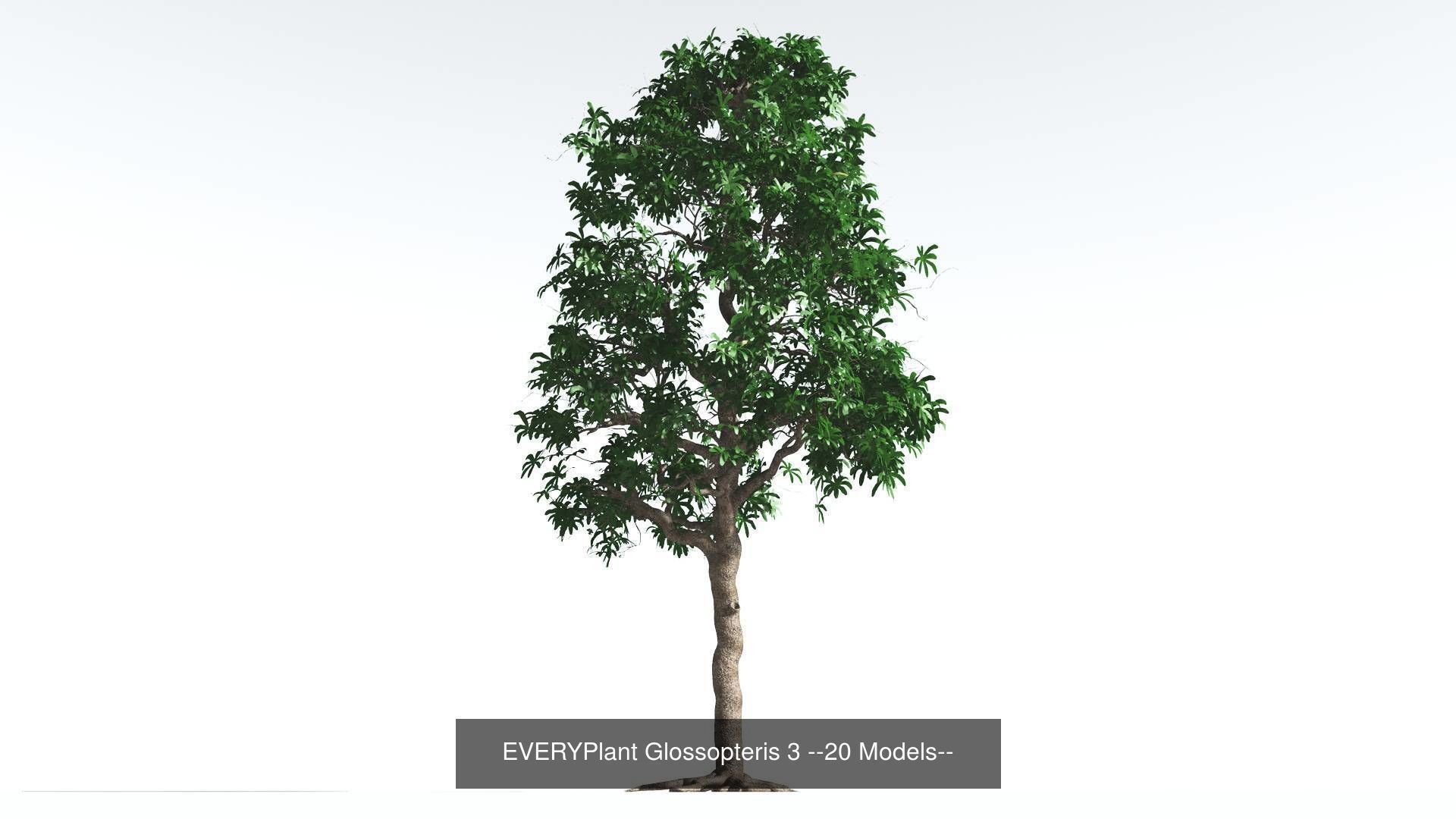 EVERYPlant Permian Biome MEGAPack --536 Models-- 3D Model Collection_7