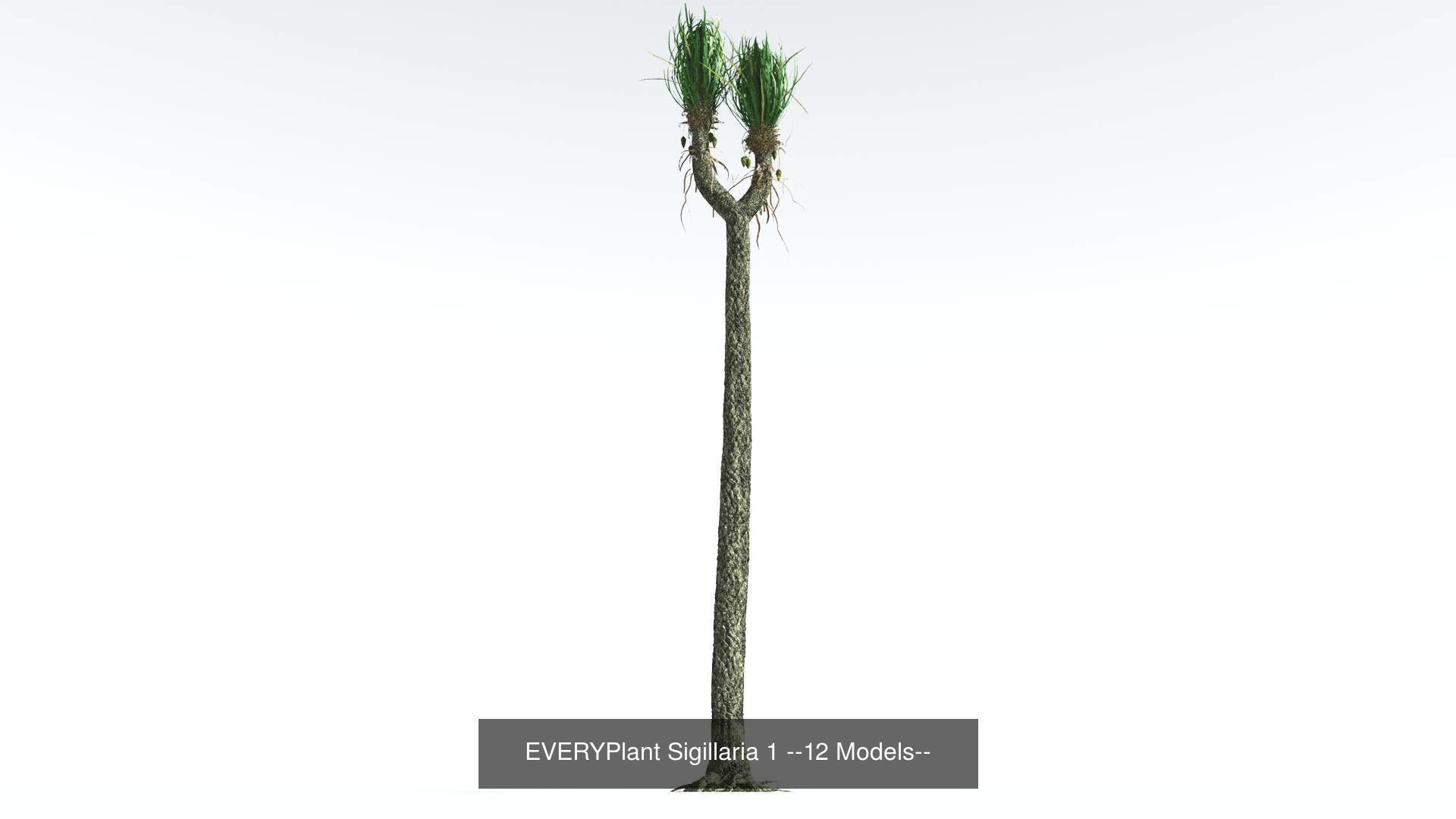 EVERYPlant Permian Biome MEGAPack --536 Models-- 3D Model Collection_41