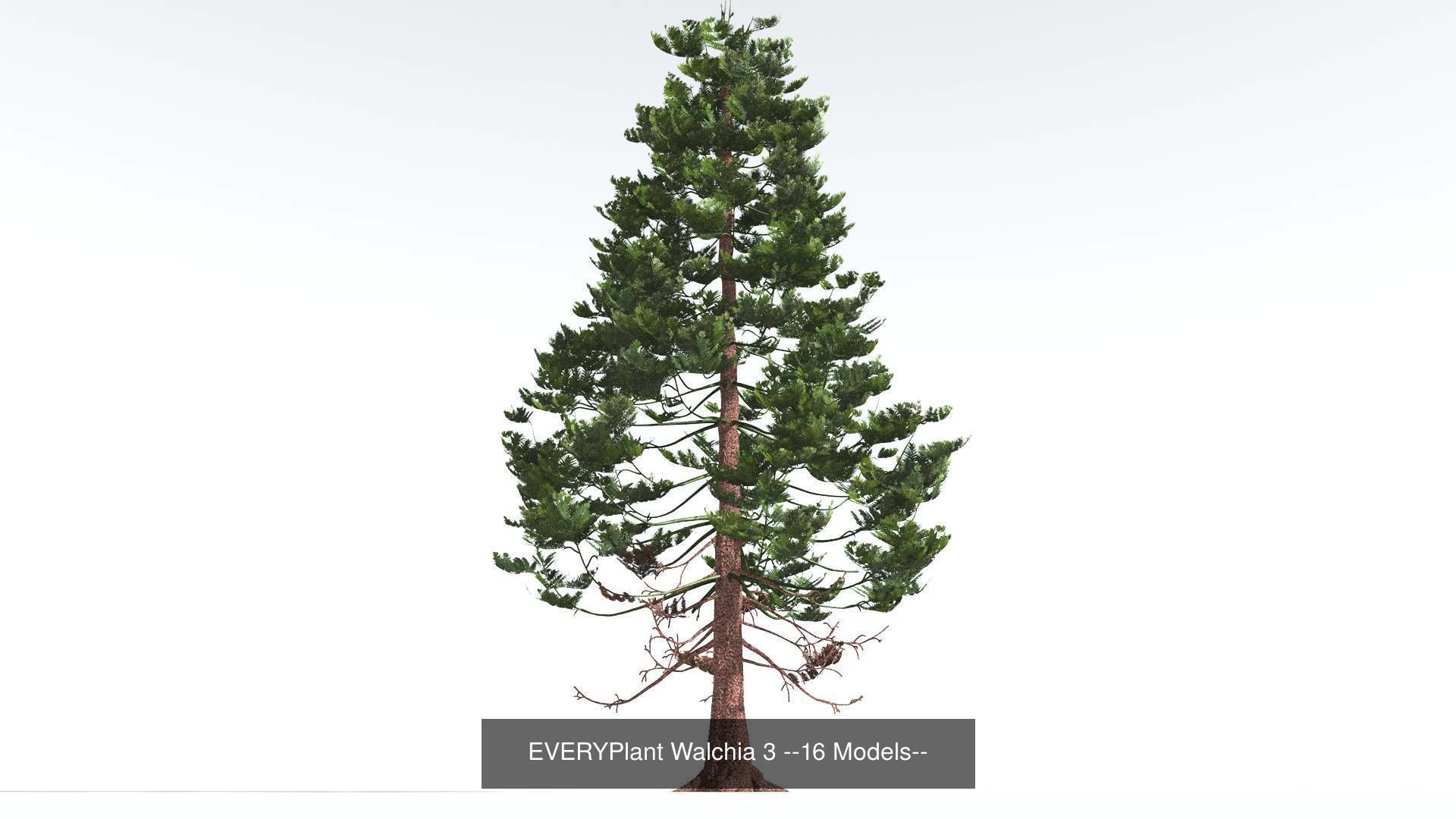 EVERYPlant Permian Biome MEGAPack --536 Models-- 3D Model Collection_11