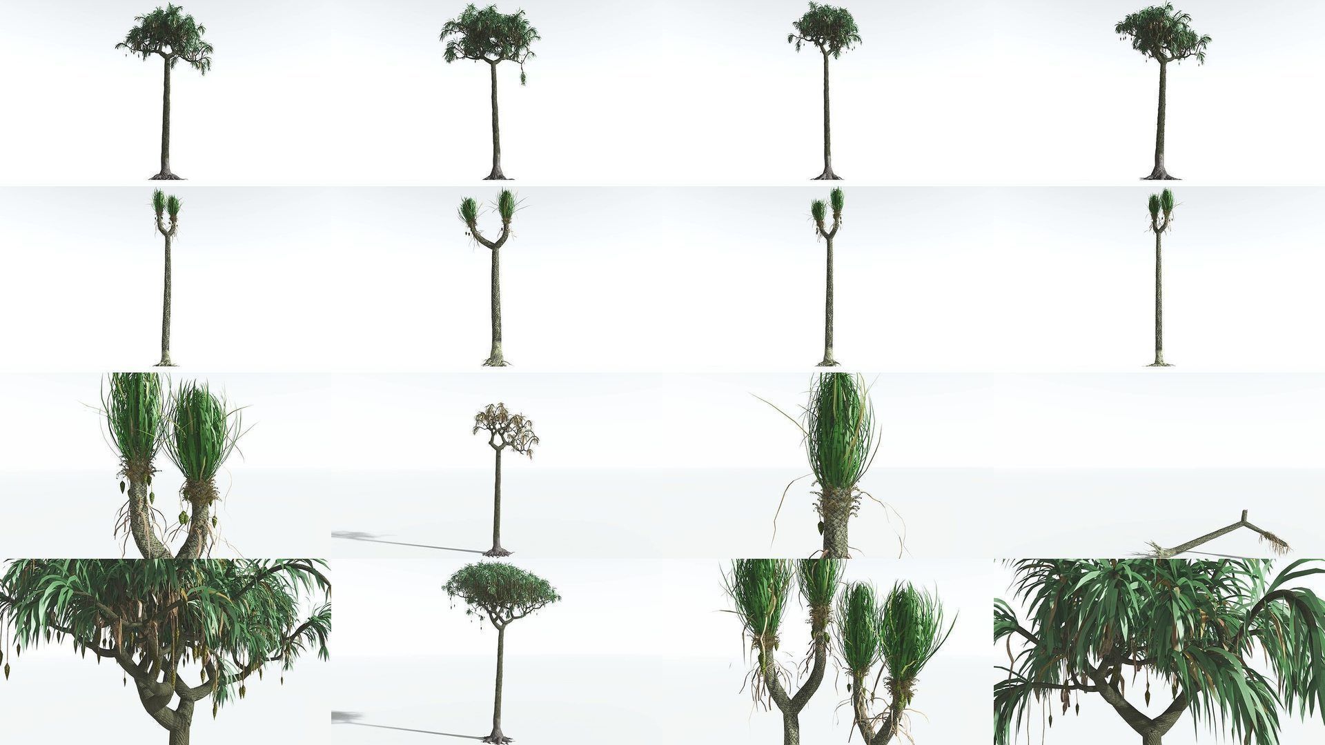 EVERYPlant Permian Biome MEGAPack --536 Models-- 3D Model Collection_3