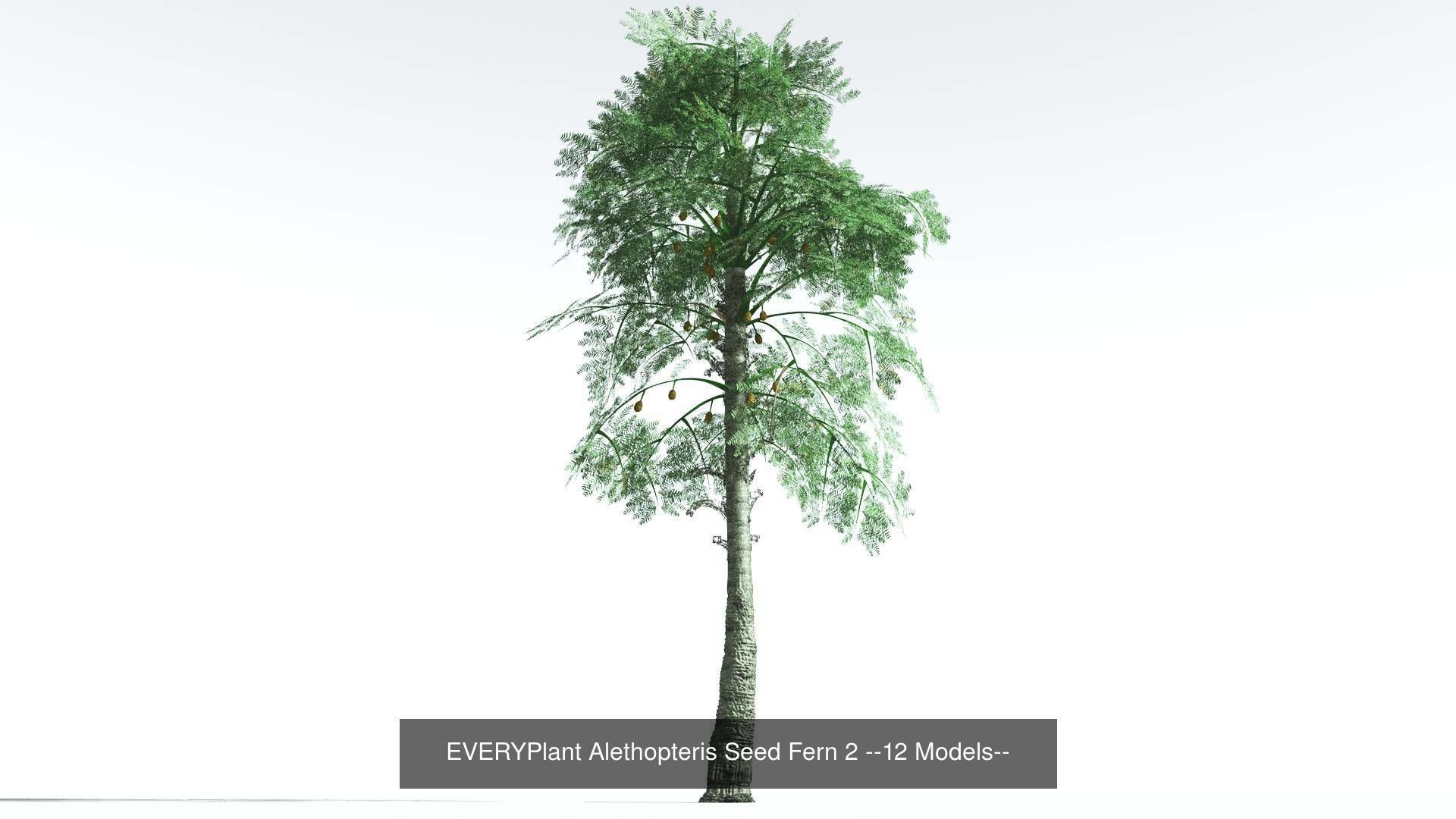 EVERYPlant Permian Biome MEGAPack --536 Models-- 3D Model Collection_26