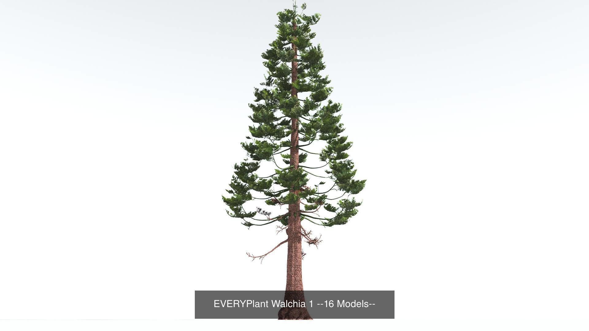 EVERYPlant Permian Biome MEGAPack --536 Models-- 3D Model Collection_9