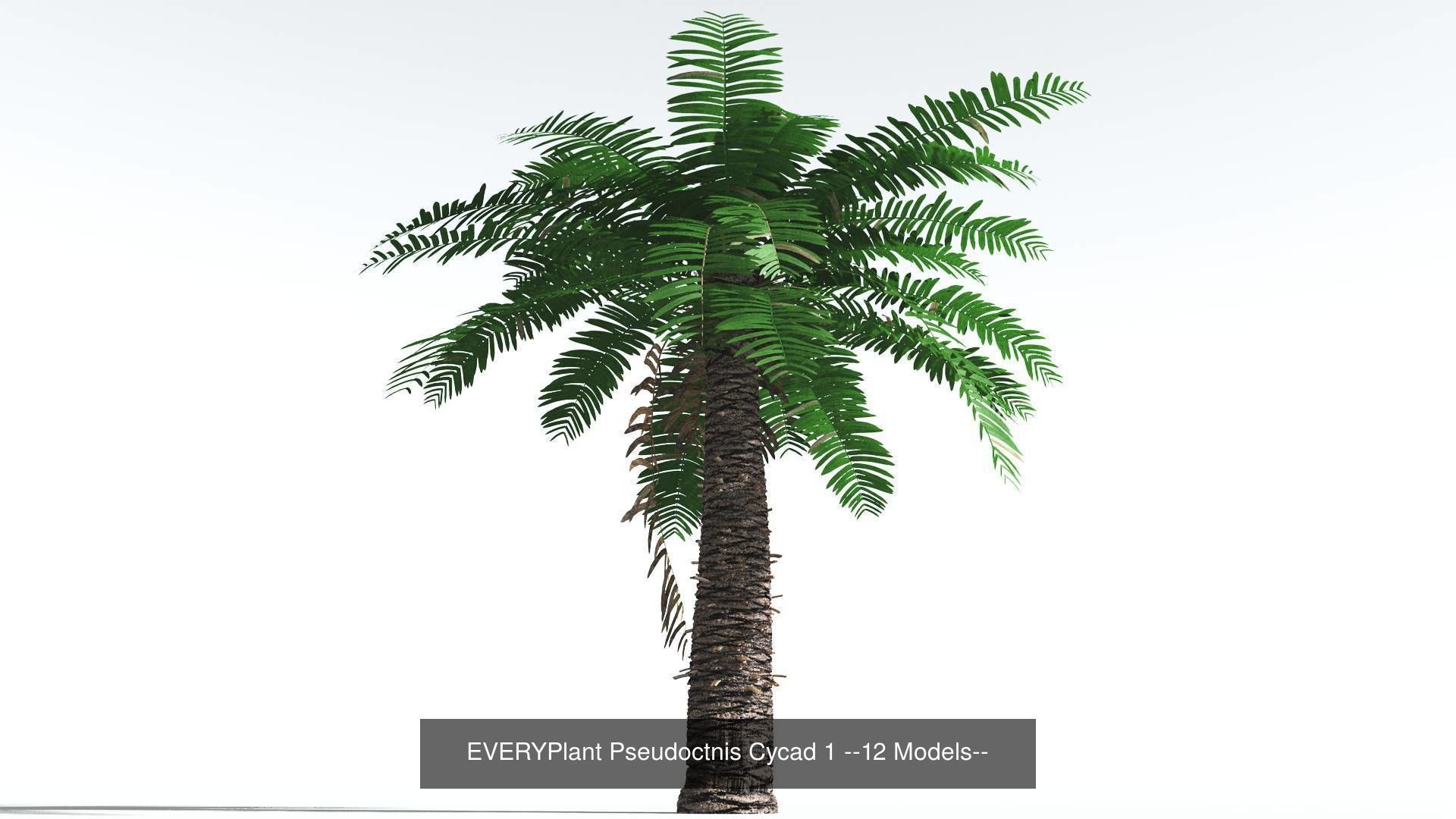 EVERYPlant Permian Biome MEGAPack --536 Models-- 3D Model Collection_21