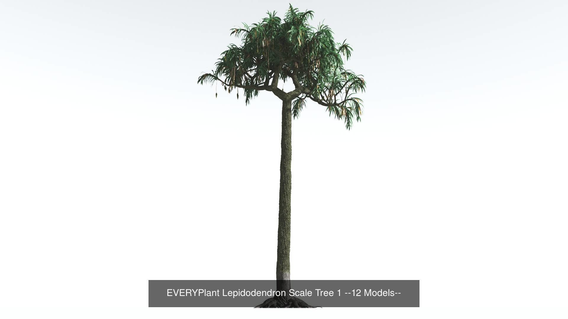 EVERYPlant Permian Biome MEGAPack --536 Models-- 3D Model Collection_37