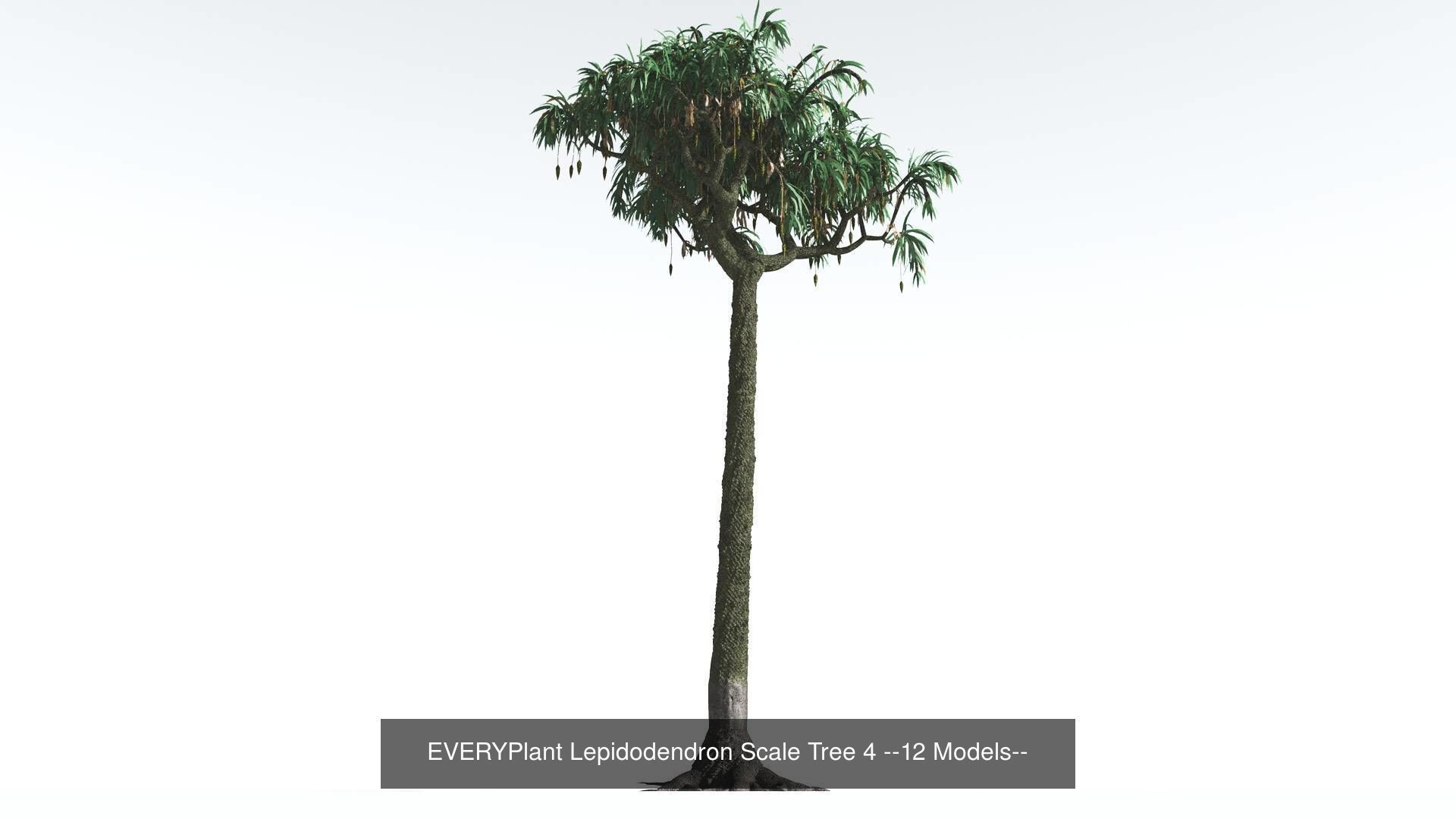 EVERYPlant Permian Biome MEGAPack --536 Models-- 3D Model Collection_40