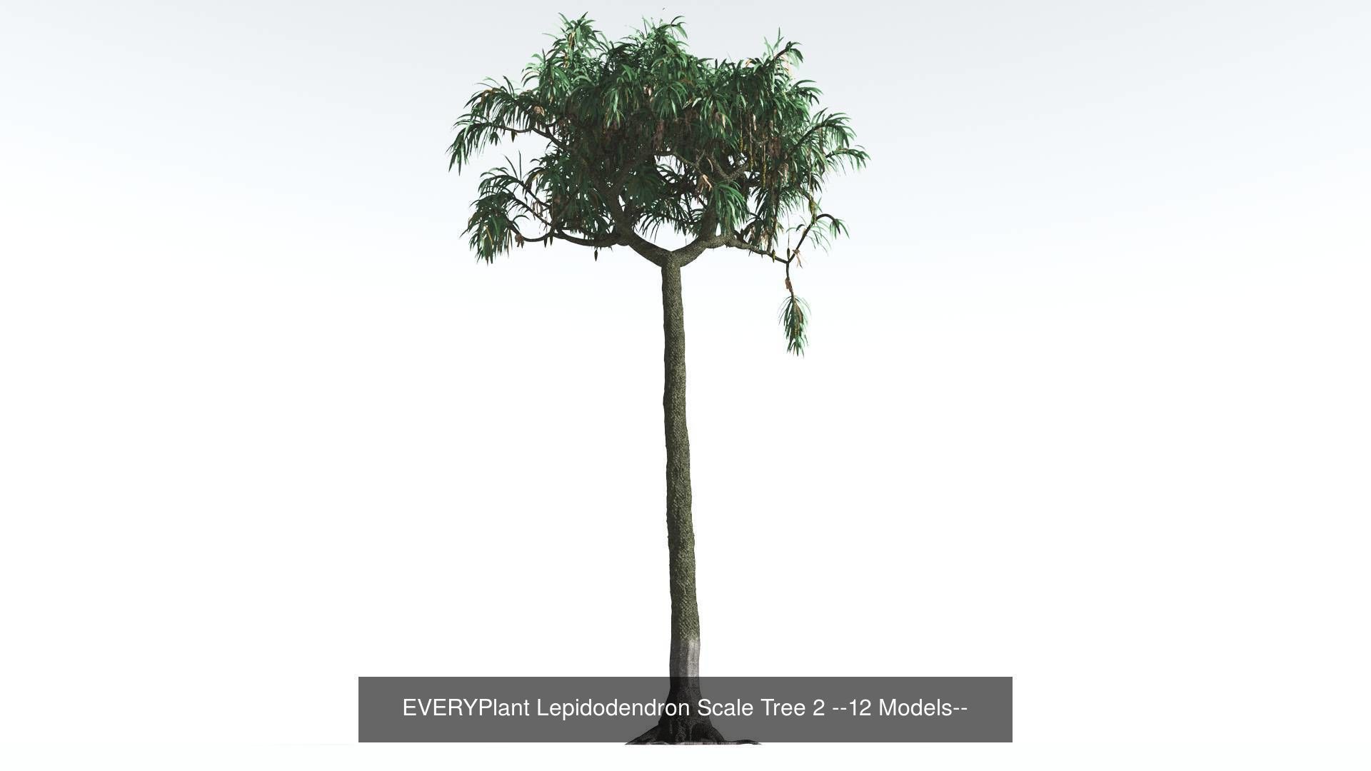 EVERYPlant Permian Biome MEGAPack --536 Models-- 3D Model Collection_38