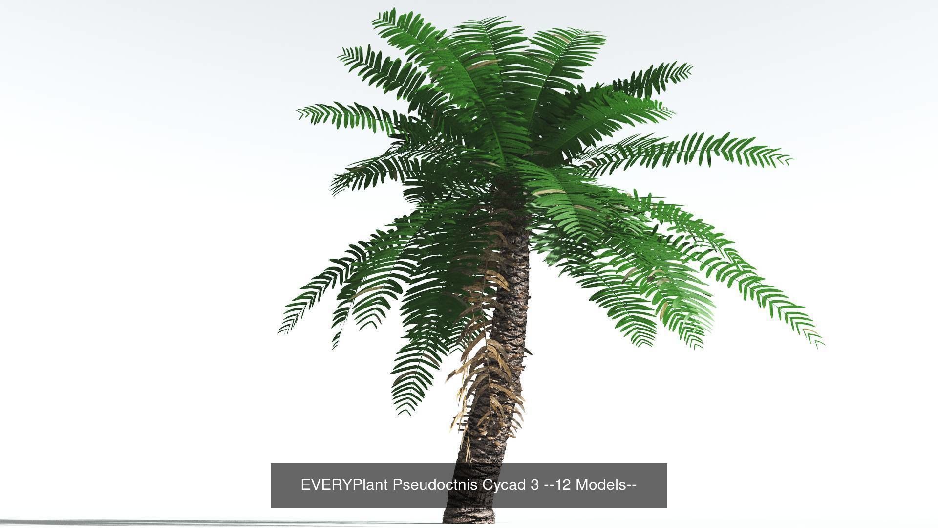EVERYPlant Permian Biome MEGAPack --536 Models-- 3D Model Collection_23