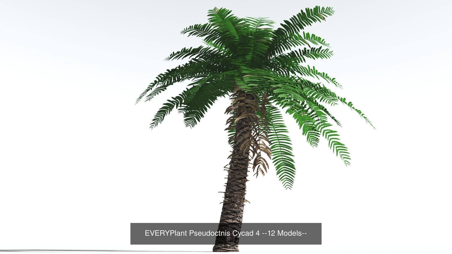 EVERYPlant Permian Biome MEGAPack --536 Models-- 3D Model Collection_24