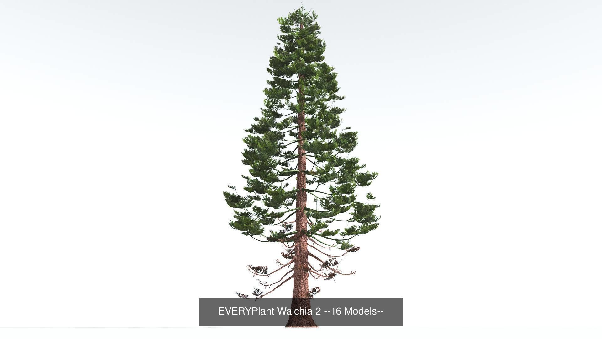 EVERYPlant Permian Biome MEGAPack --536 Models-- 3D Model Collection_10