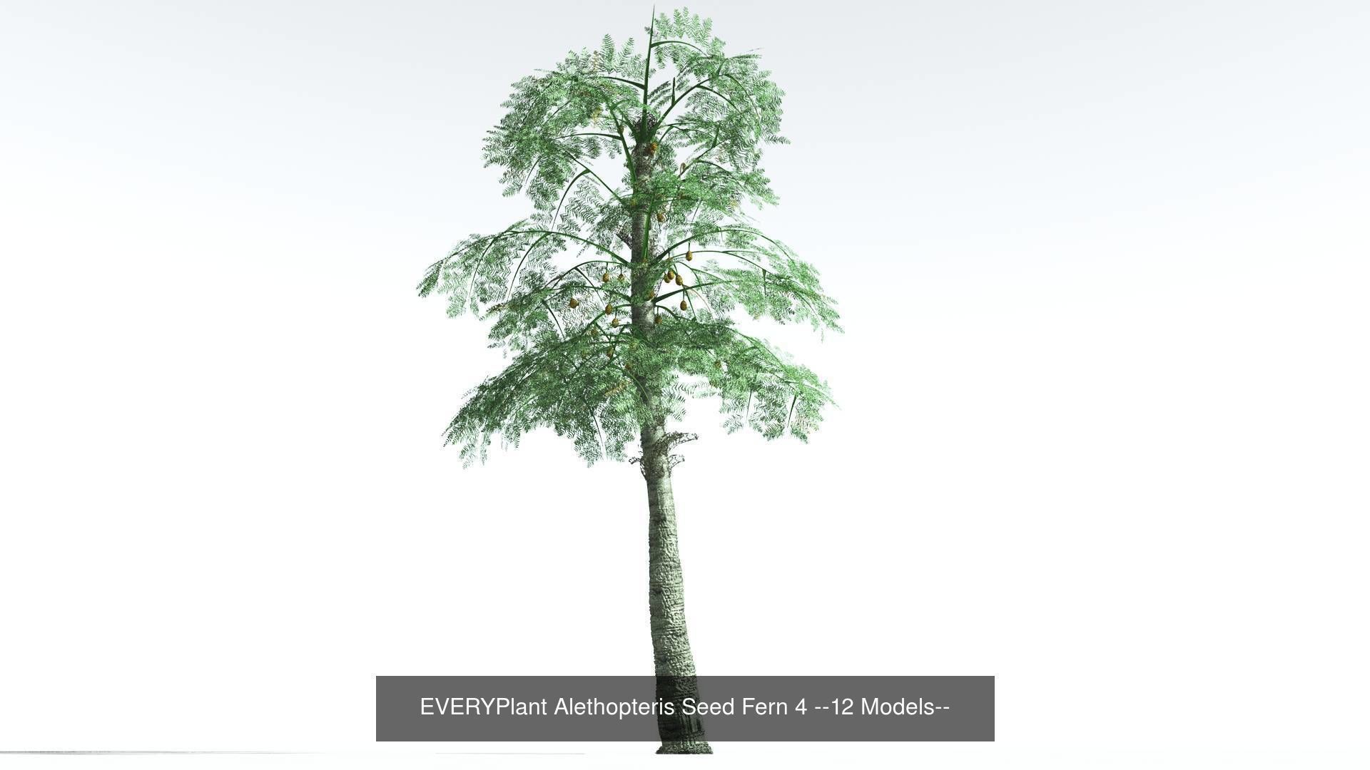 EVERYPlant Permian Biome MEGAPack --536 Models-- 3D Model Collection_28