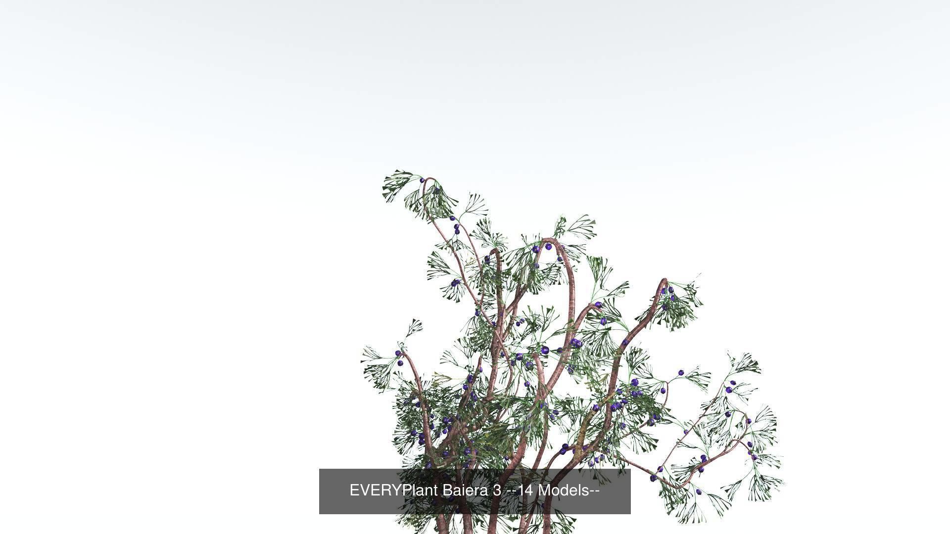 EVERYPlant Permian Biome MEGAPack --536 Models-- 3D Model Collection_31
