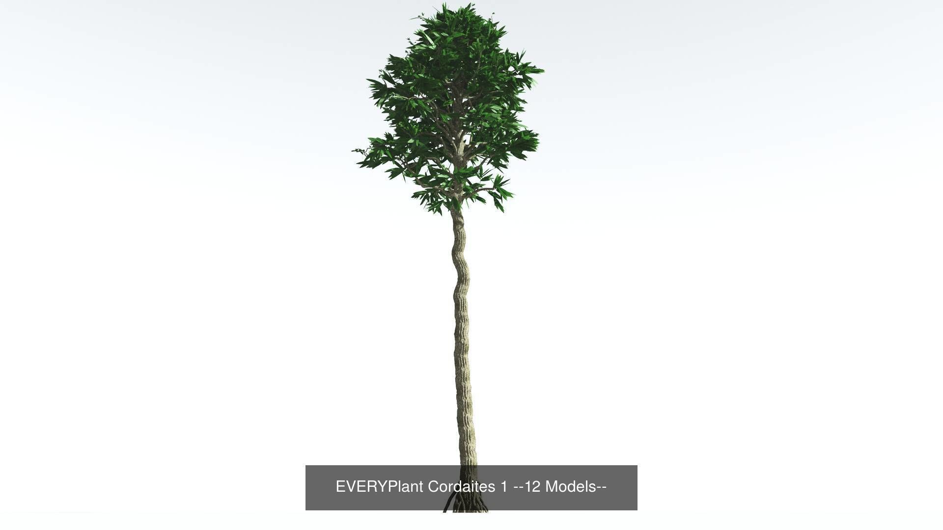 EVERYPlant Permian Biome MEGAPack --536 Models-- 3D Model Collection_13