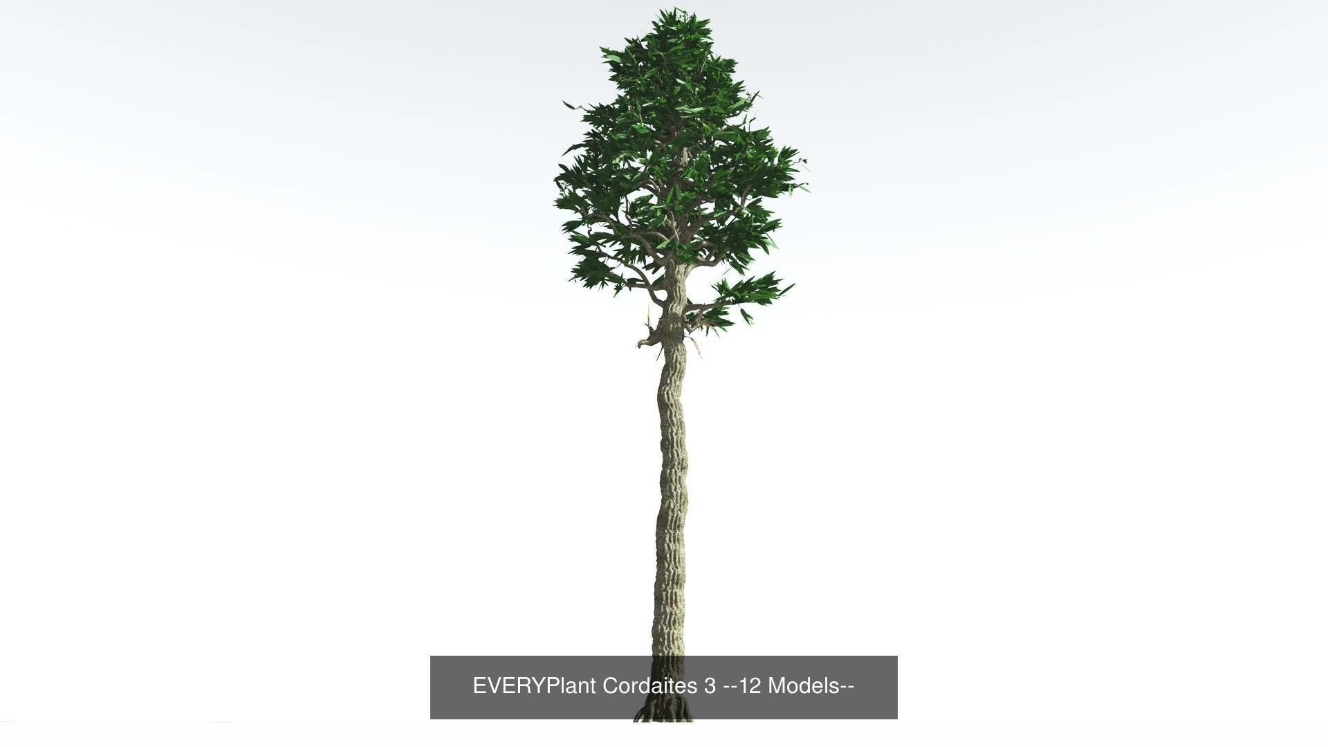 EVERYPlant Permian Biome MEGAPack --536 Models-- 3D Model Collection_15