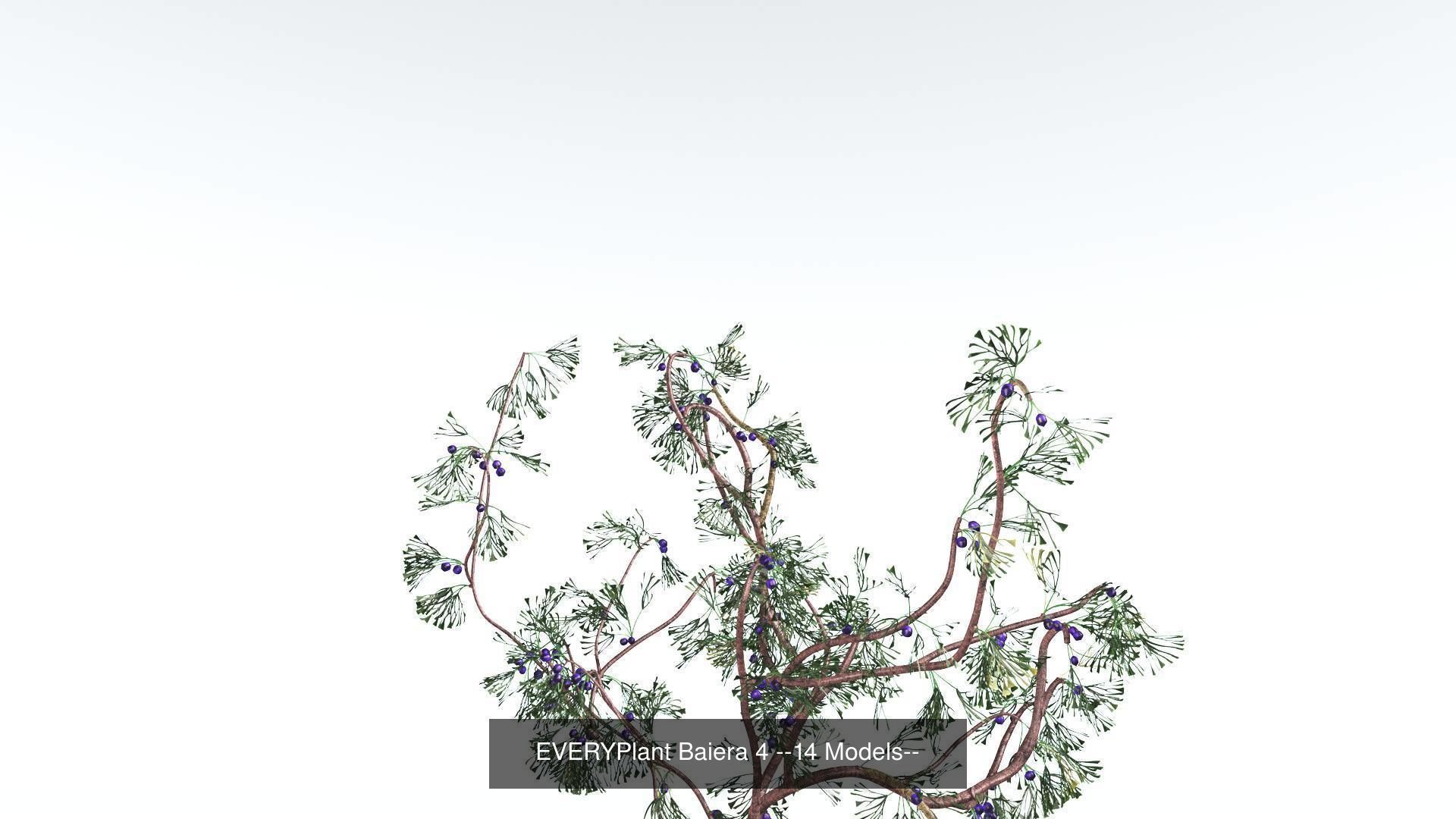 EVERYPlant Permian Biome MEGAPack --536 Models-- 3D Model Collection_32