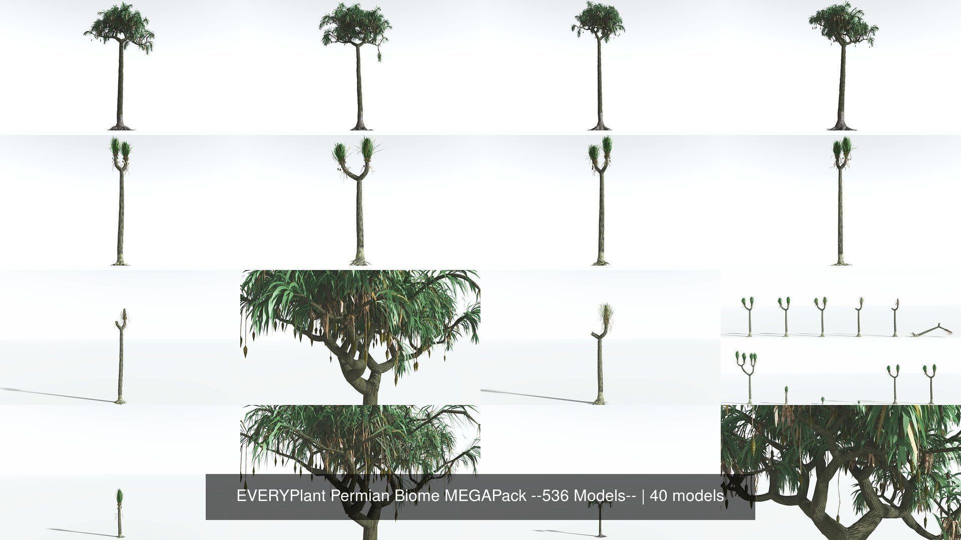 EVERYPlant Permian Biome MEGAPack --536 Models-- 3D Model Collection_4