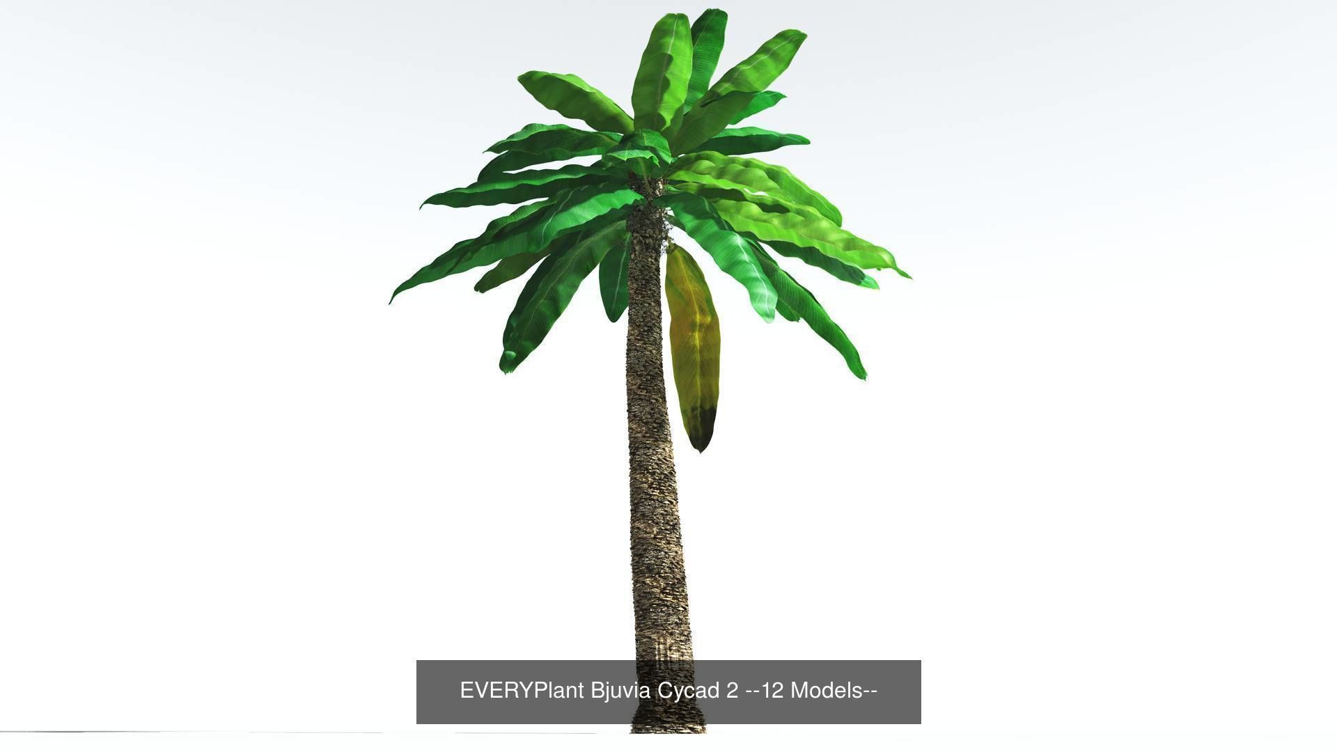 EVERYPlant Permian Biome MEGAPack --536 Models-- 3D Model Collection_34