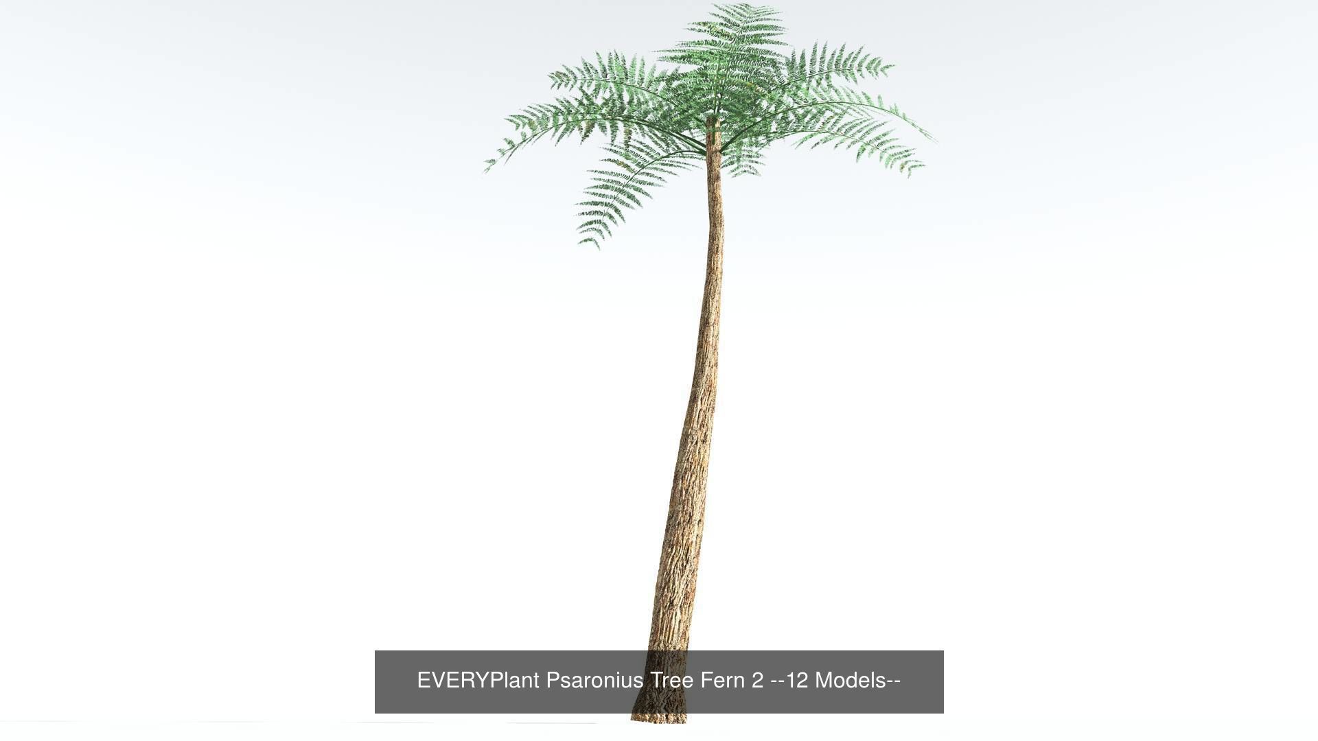 EVERYPlant Permian Biome MEGAPack --536 Models-- 3D Model Collection_18